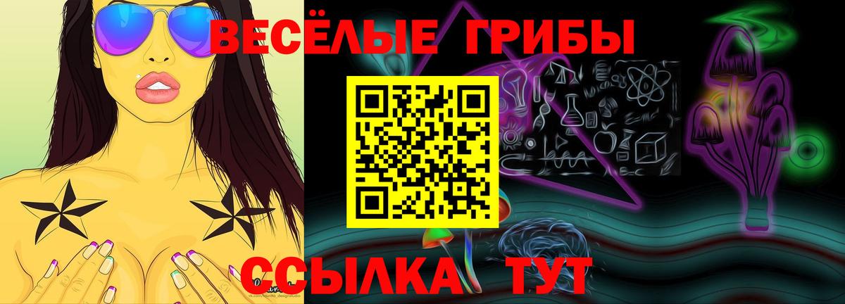 закладка  Псилоцибиновые грибы Psilocybine cubensis  Вход с VPN  Будённовск 
