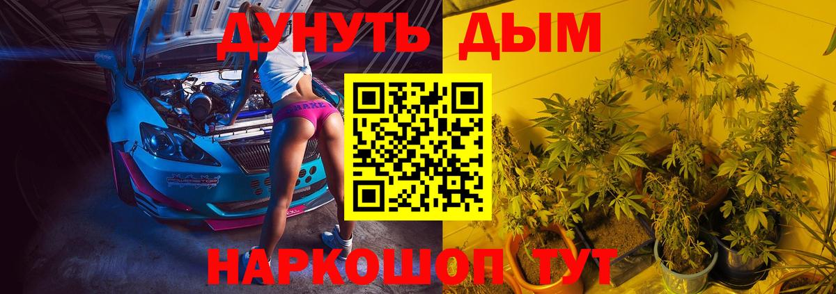 Каннабис план Будённовск